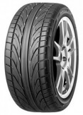 Летние шины Dunlop Direzza DZ101